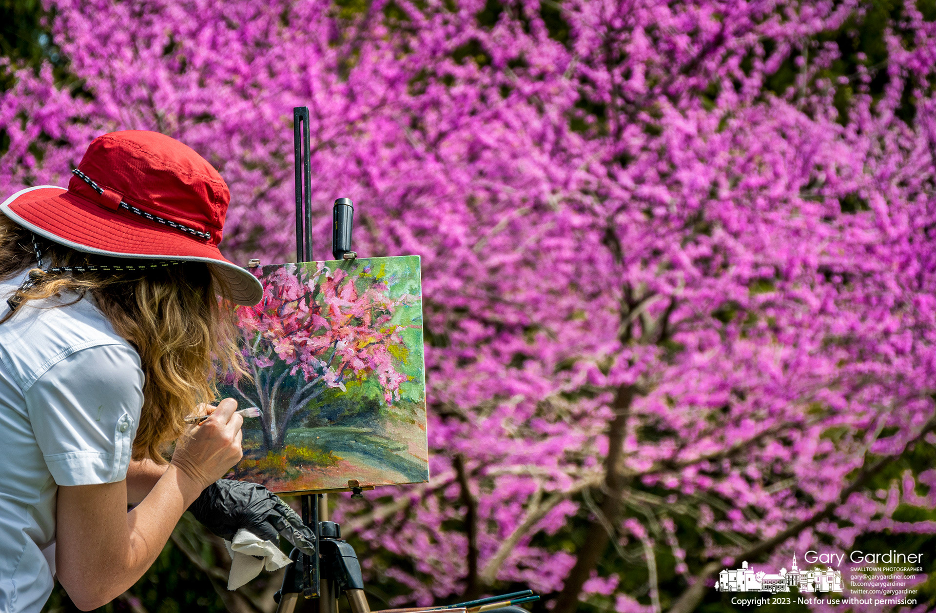 A painter completes detail on her painting as she and a plein air group spent the morning in Alum Creek Park North practicing their skill set. My Final Photo for April 20, 2023. 