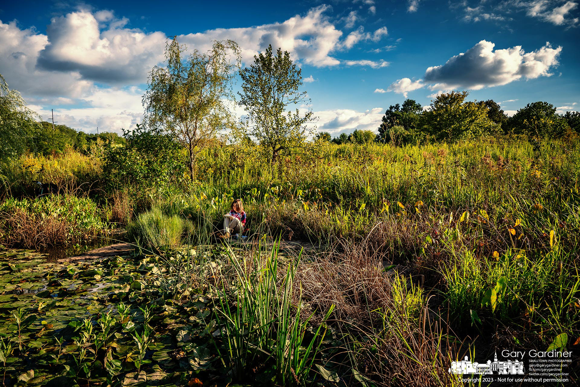 A young artist sitting on the rocks makes pencil and pastel drawings of the lilypads covering a small section of the Highlands Wetlands on a crisp late Autumn afternoon. My Final Photo for August 30, 2023. 