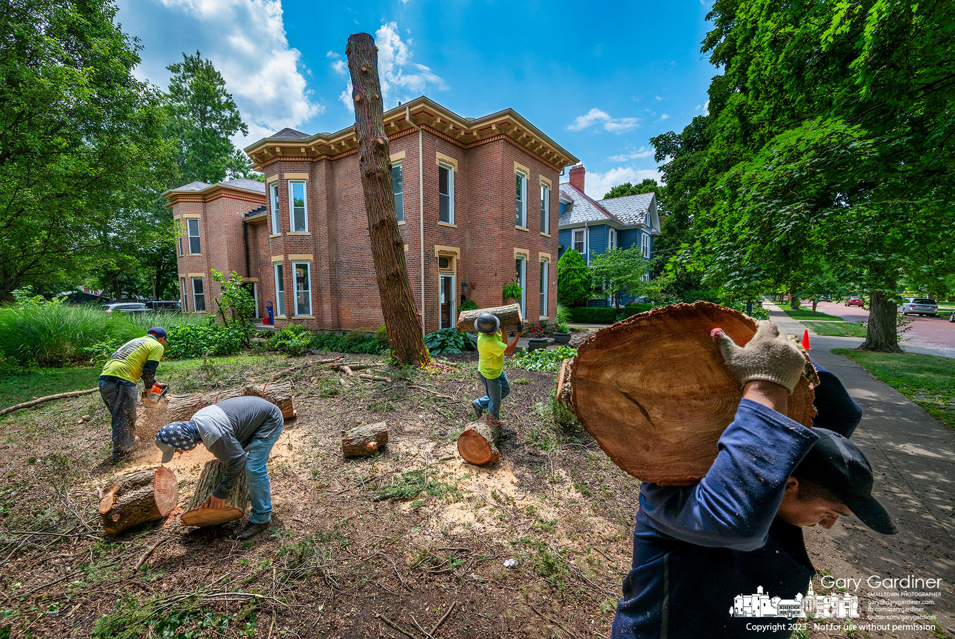 A tree removal crew clears sections of the upper trunk of a pine tree before felling the lower section in the front yard of a house on West College. My Final Photo for July 20, 2023. https://bit.ly/3Y3gbiw