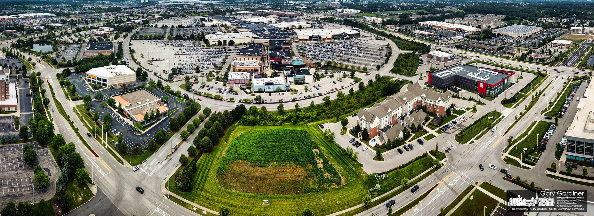 Soybeans grow in one of the two undeveloped plots on the perimeter circle of Polaris Fashion Place, a shopping mall in Columbus, Ohio. My Final Photo for Aug. 13, 2021.