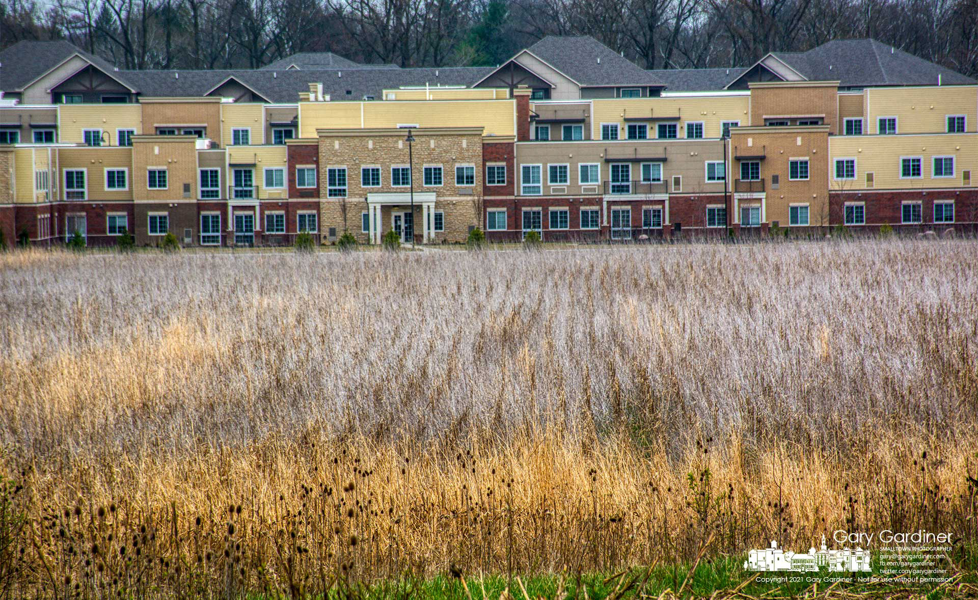 Rows of stunted and unharvested corn sit among the weeds on the lower field at the Braun Farm as the weather warms with plans for the planting of soybeans. My Final Photo for April 5, 2021.