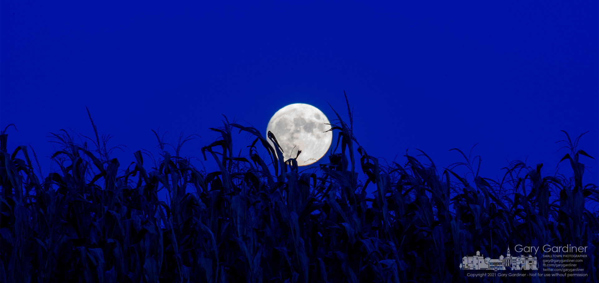 The nearly full Hunter's Moon rises over the dried but not yet ready for harvest field of corn on the Yarnell farm on Africa Road. My Final Photo for Oct. 19, 2021.