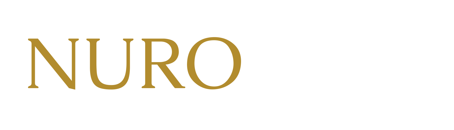 nurofuzy
