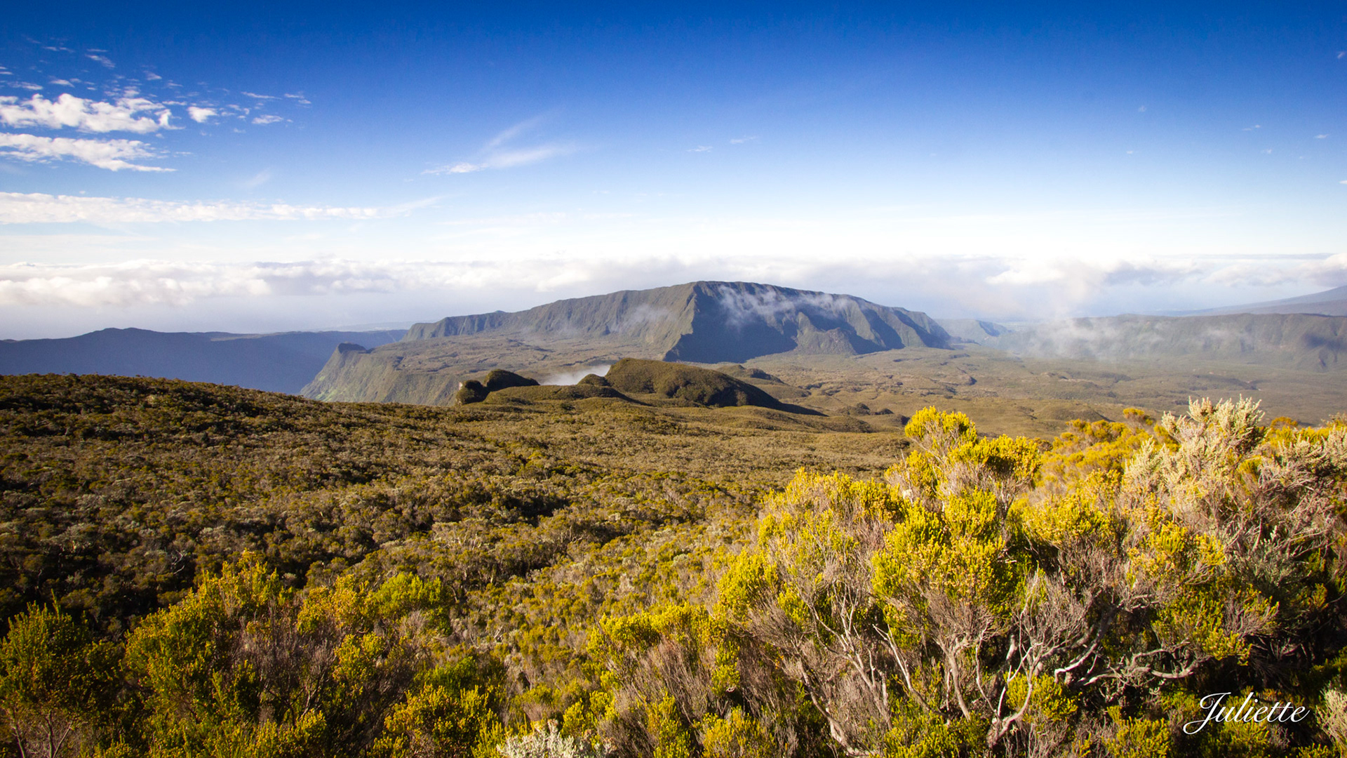Forêt de Belouve - La Réunion