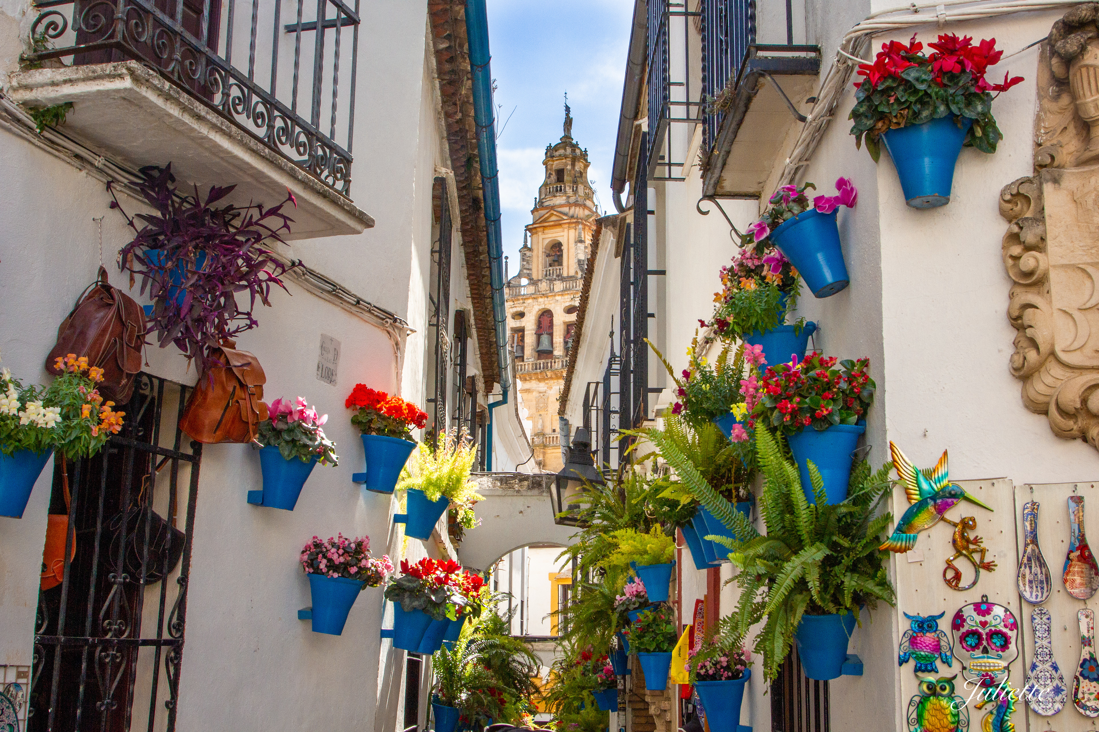 Calle de Flores