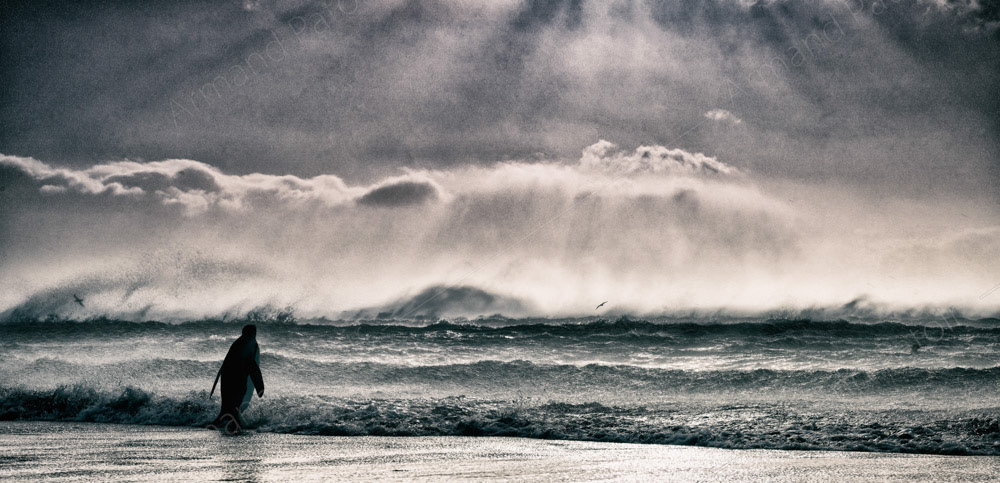 "J'y vais mais j'ai peur !"