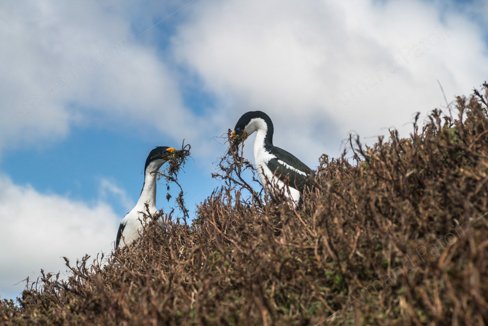 On ne parle pas la bouche pleine