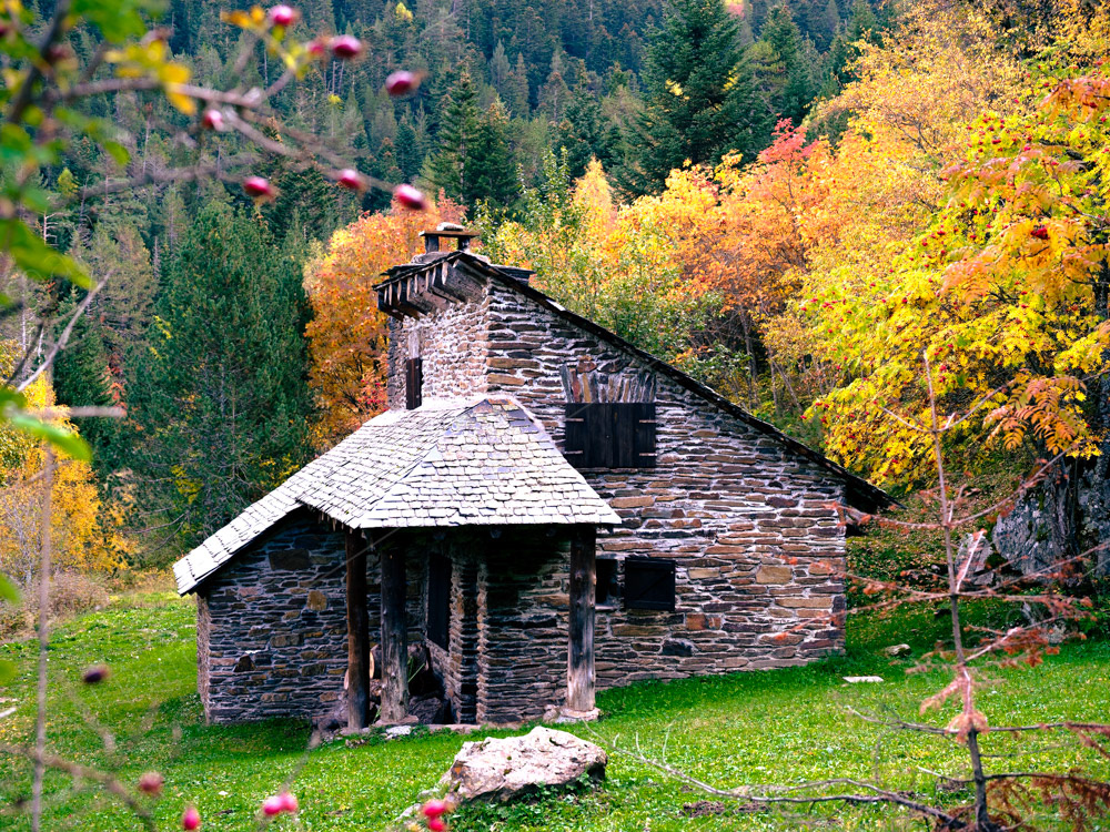 Une petite maison dans la prairie