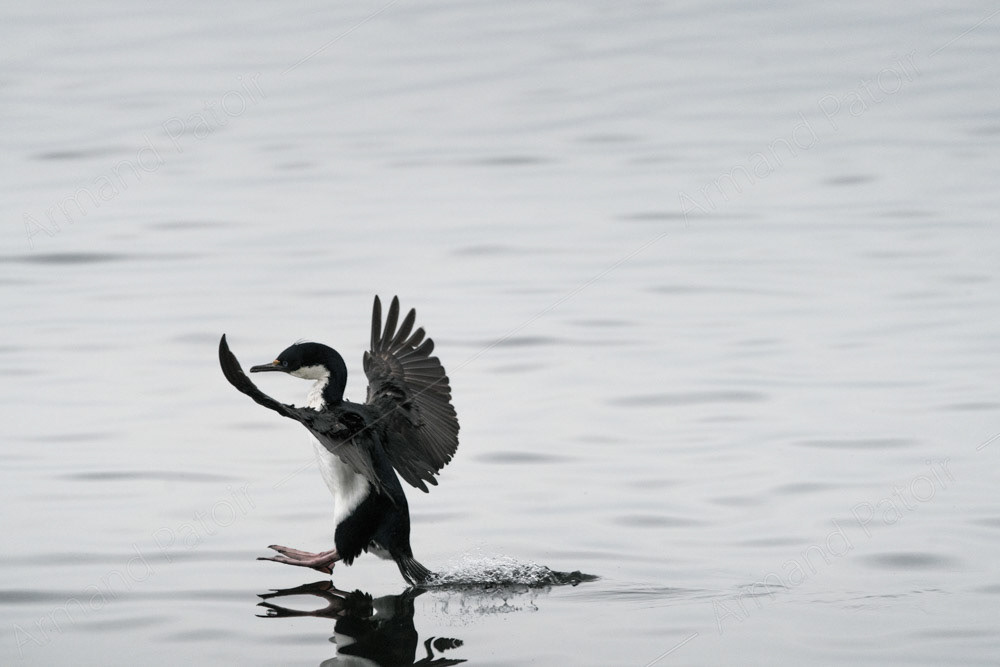 Atterrissage contrôlé 