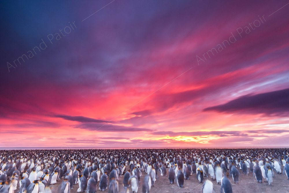 Coucher de soleil sur Ratmanoff