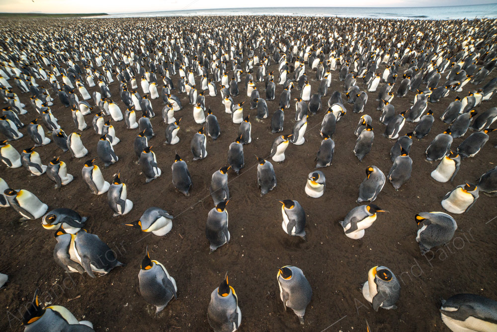 Strict respect des distances de sécurité