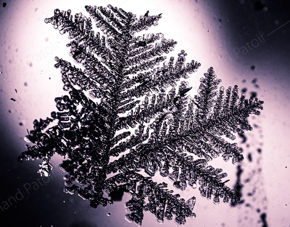 Détail d'un cristal de glace à Concordia.