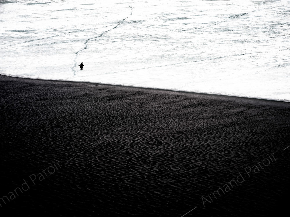 Retour sur la glace ferme. Station australienne Casey.