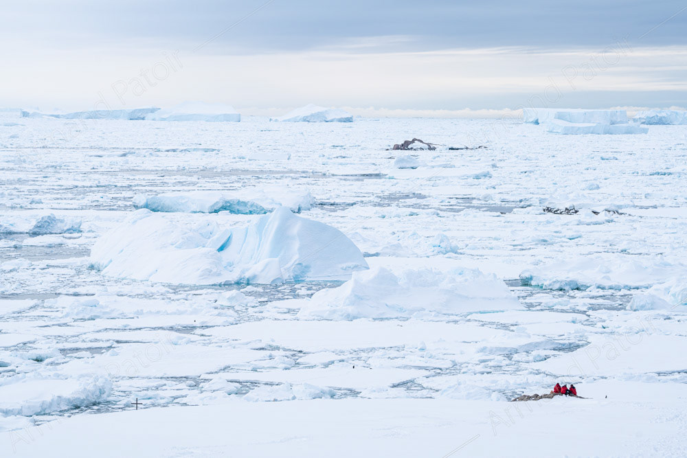 Ces trois hivernantes admirent une dernière fois les étendues glacées de l'océan avant de rentrer chez elles, après avoir passé 13 mois à la station Dumont d'Urville.