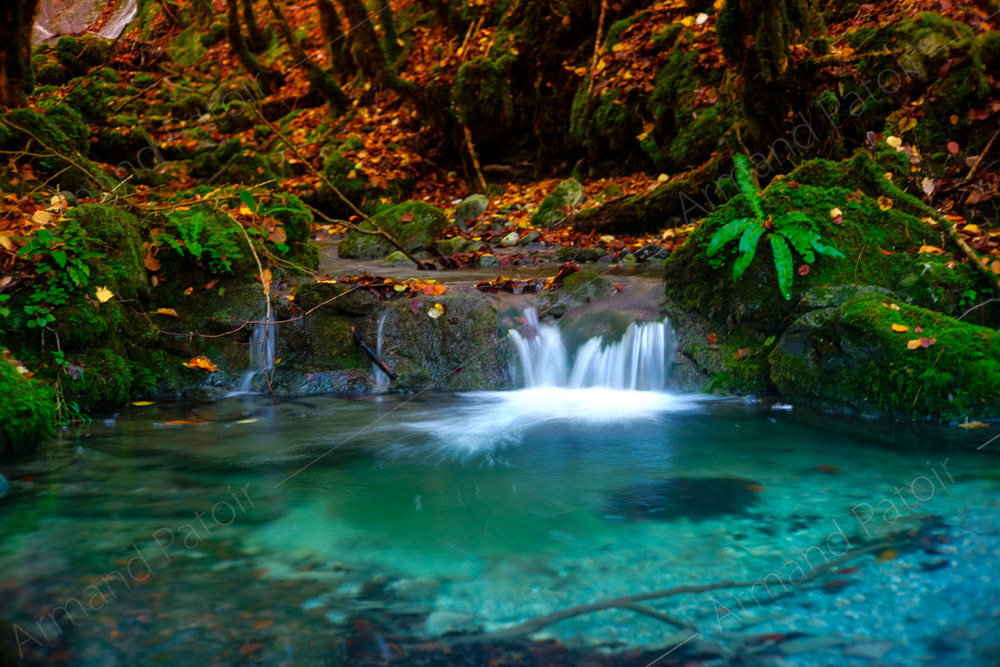 De l'eau et des couleurs