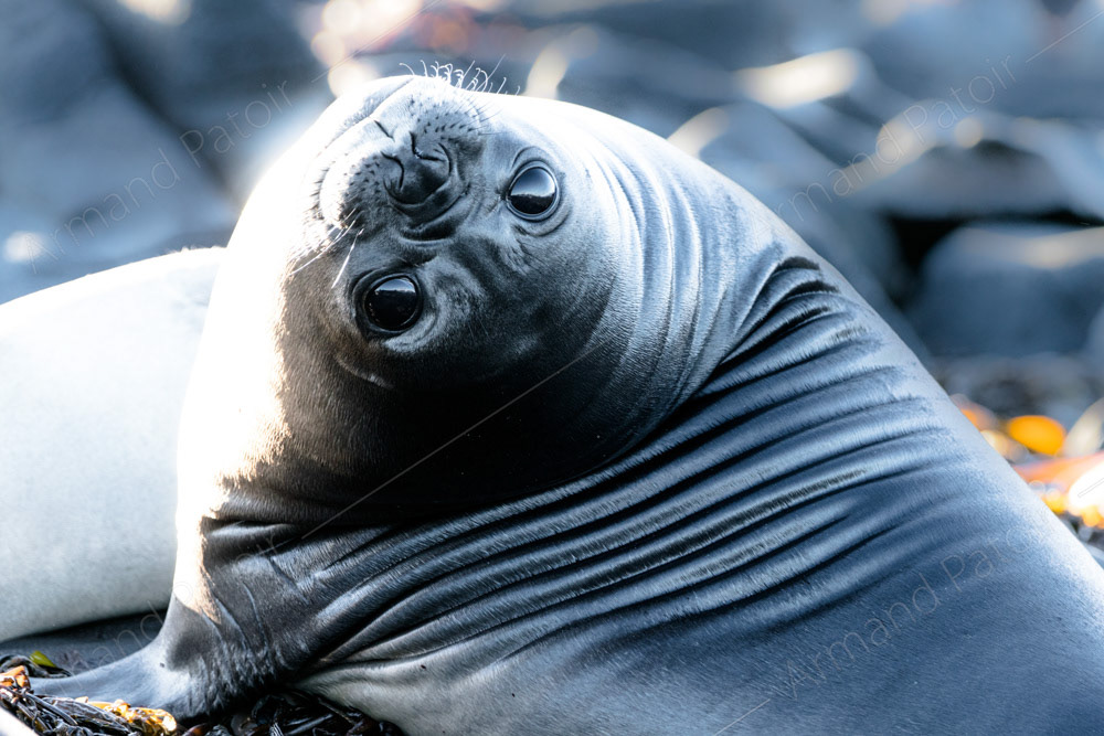 L'innocence de la jeunesse