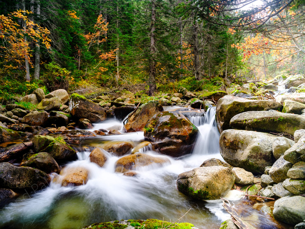 Torrent vif et couleurs d'automne, Val d'Aran, Espagne.