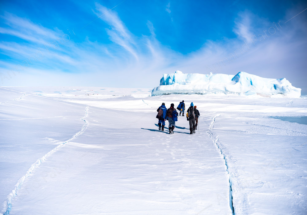 une équipe part compter les phoques sur la banquise à Dumont d'Urville.