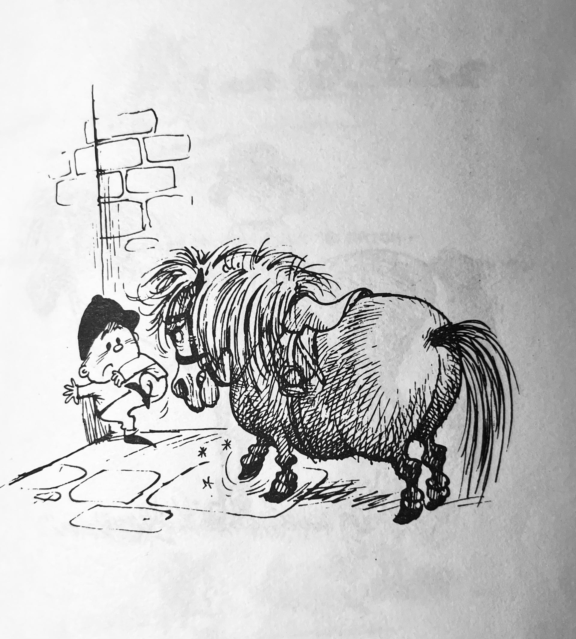 Thelwell: Riding Academy