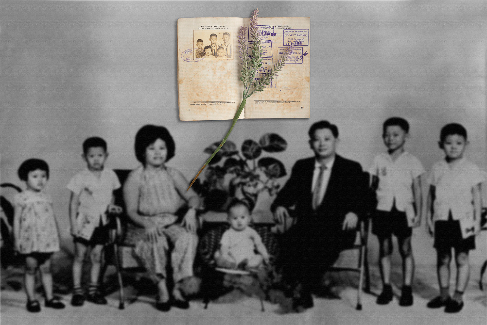 1965年8月9日,新加坡宣告脱离马来西亚成为独立共和国。祖母生于新加坡,因此祖父在马来西亚办理护照,陪同祖母到新加坡探望家人。图为祖父办理的第一本国际护照与在马来西亚拍摄的第一张全家福。On August 9, 1965, Singapore declared its independence from Malaysia and became an independent republic. My grandmother was born in Singapore, thus my grandfather had to apply a passport in Malaysia to accompany my grandmother to visit her family in Singapore. The picture showed my grandfather’s first Malaya international passport and our first family portrait taken in Malaysia.