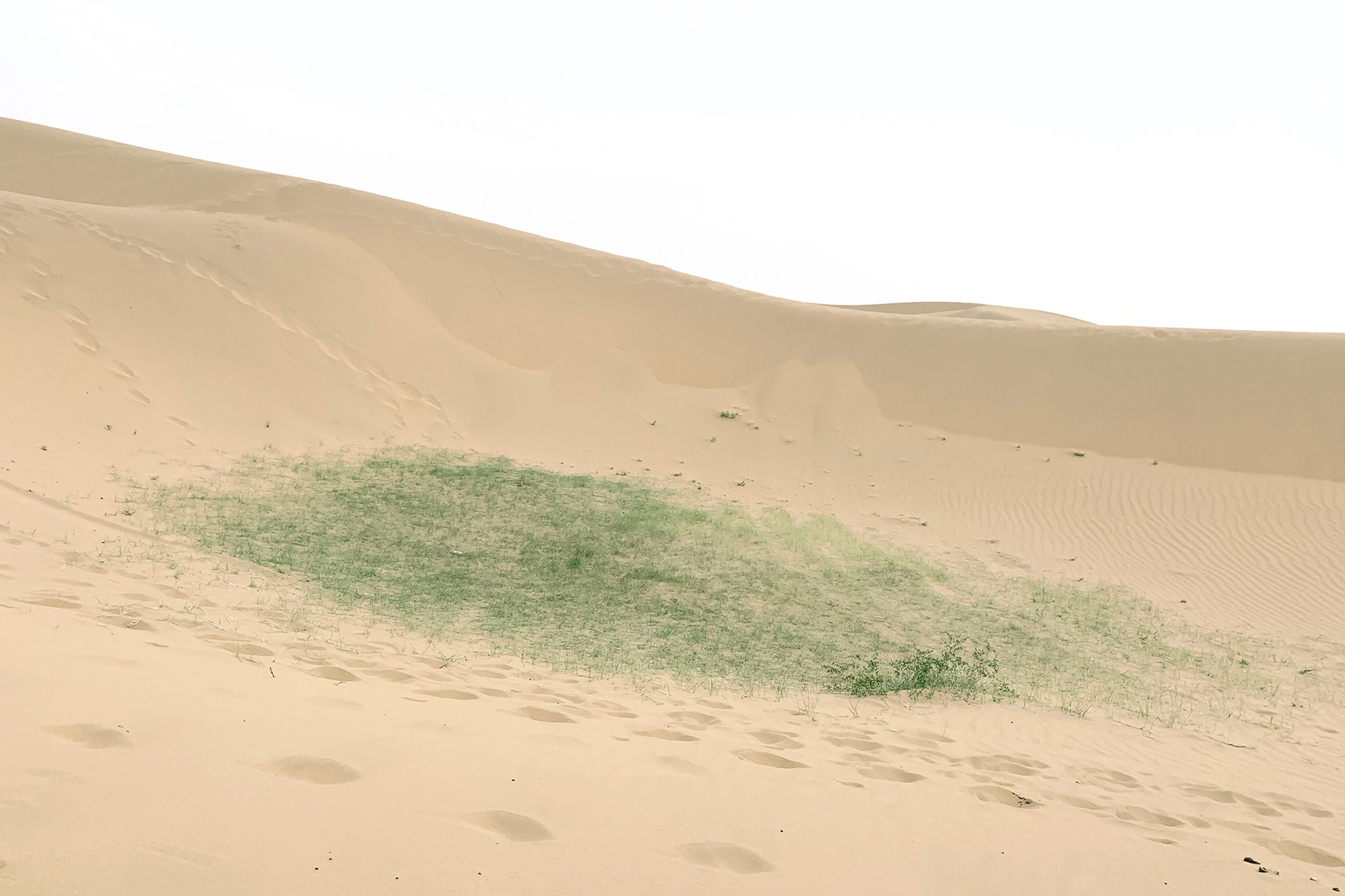 景物之二 Scenery No.2
