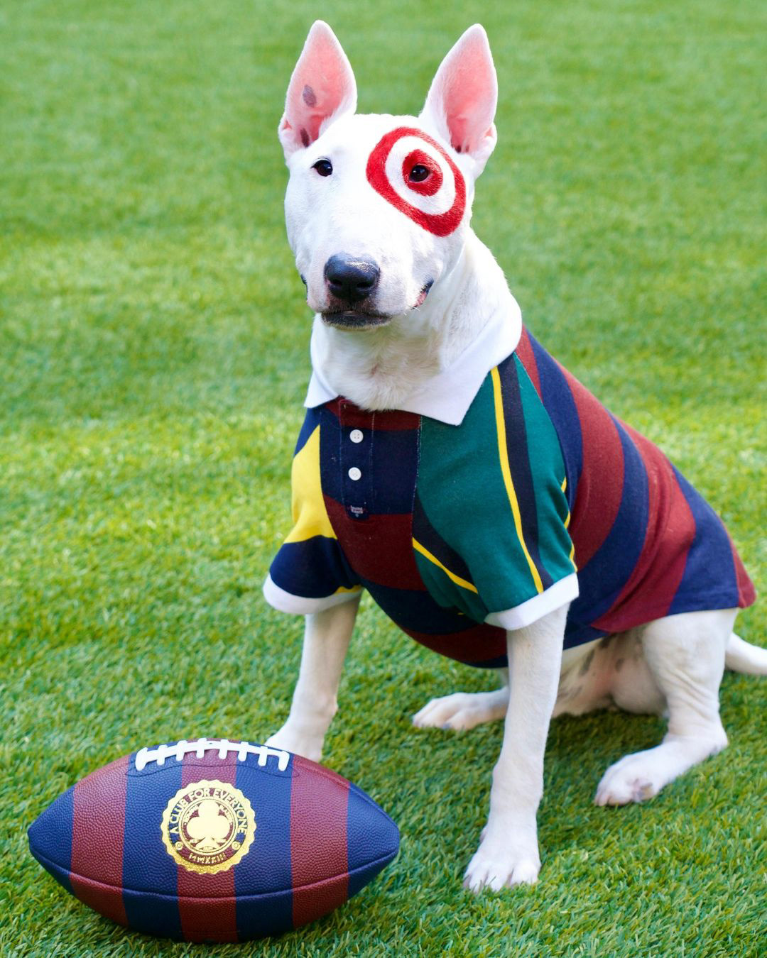 Rowing Blazers x Target Fall 2023