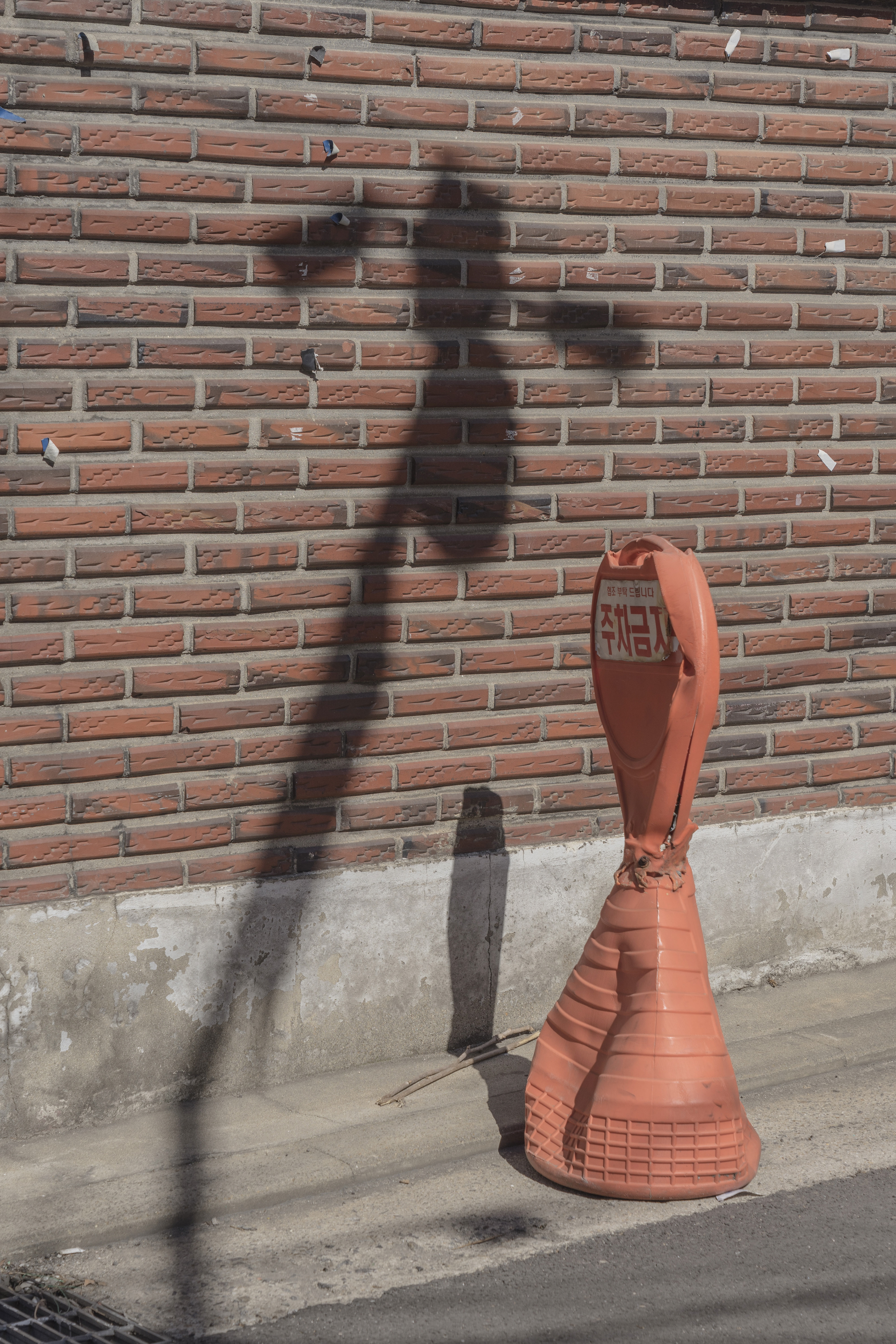 기린 (giraffe)