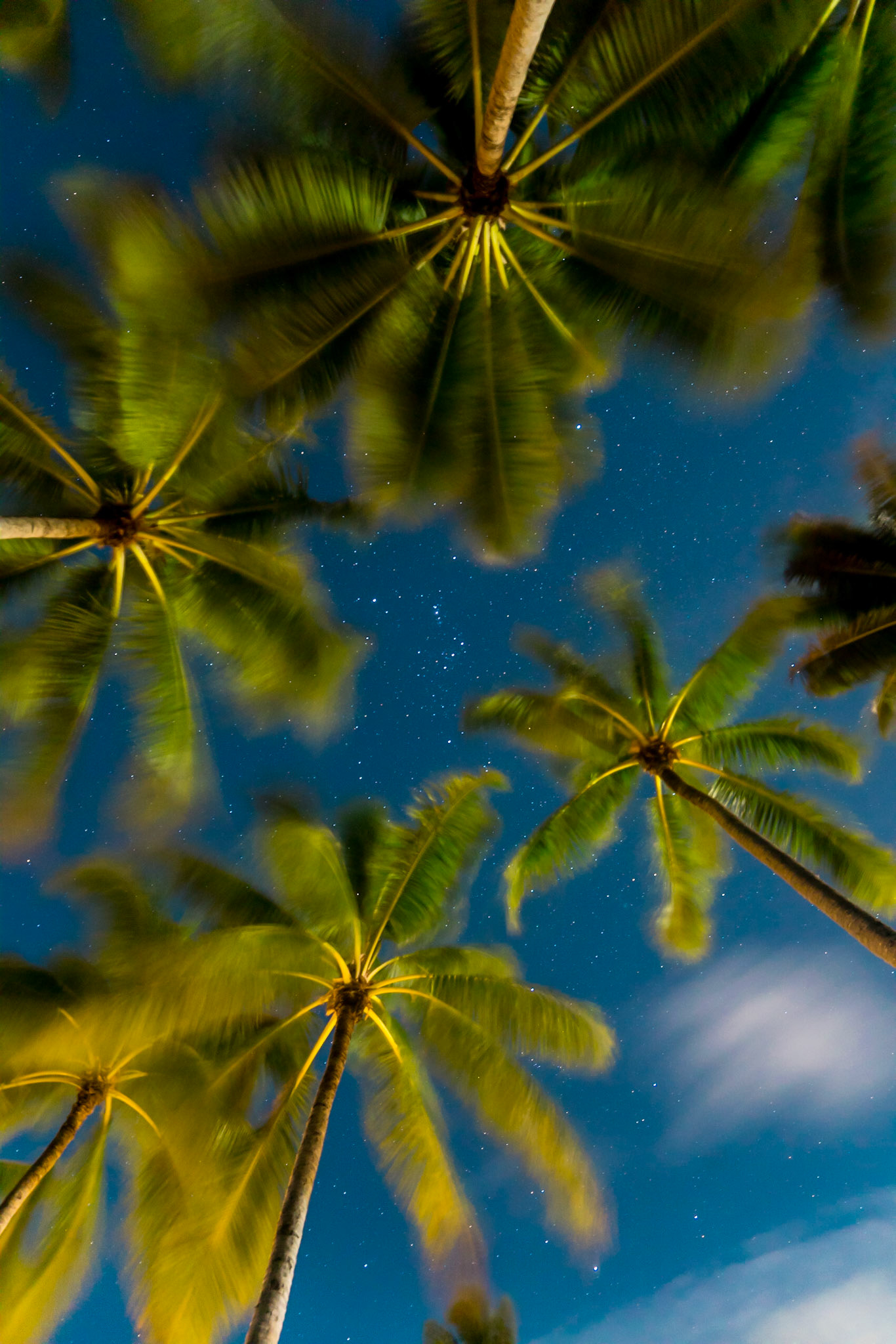 Copyright Reserve Photo