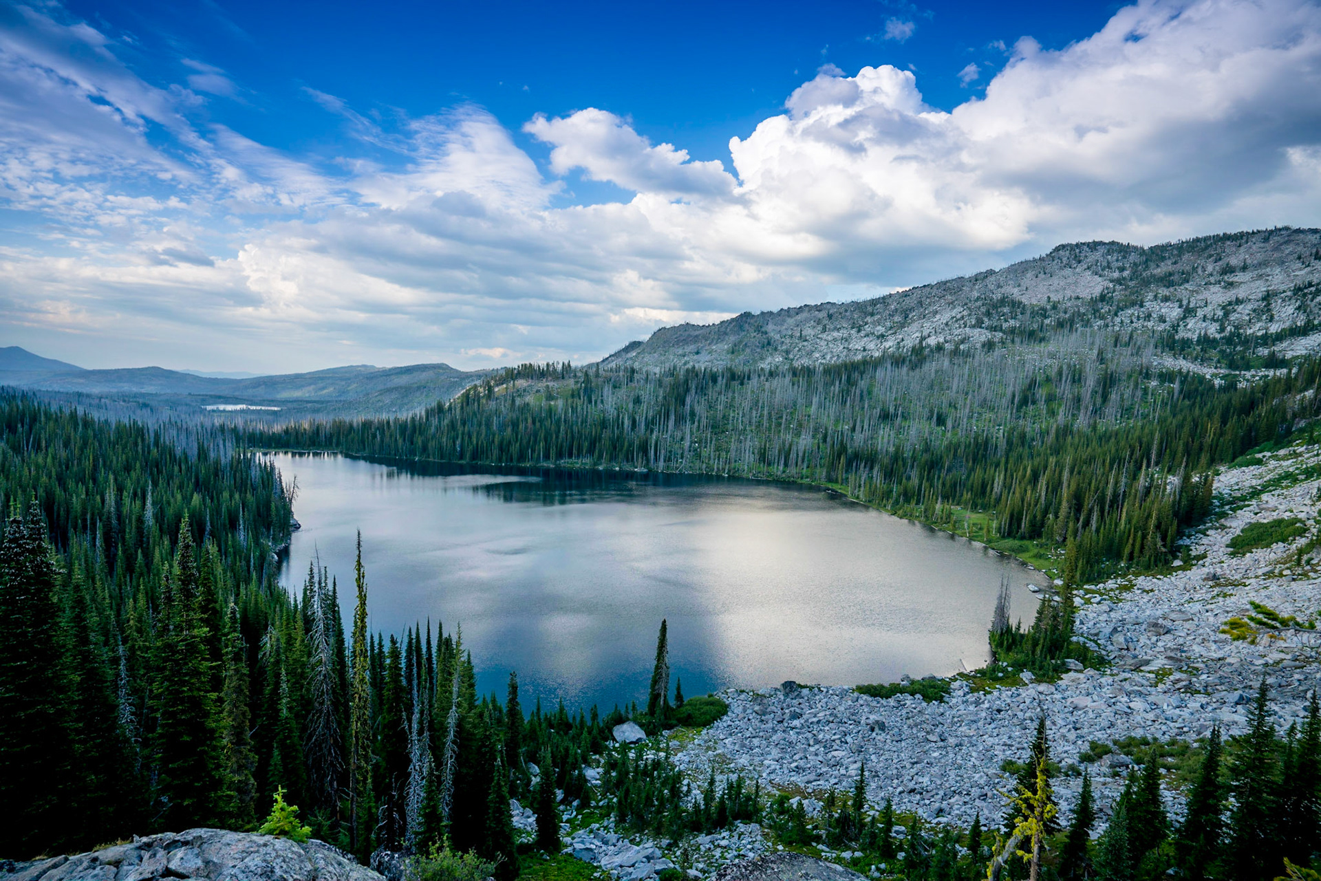 Copyright Reserve Photo