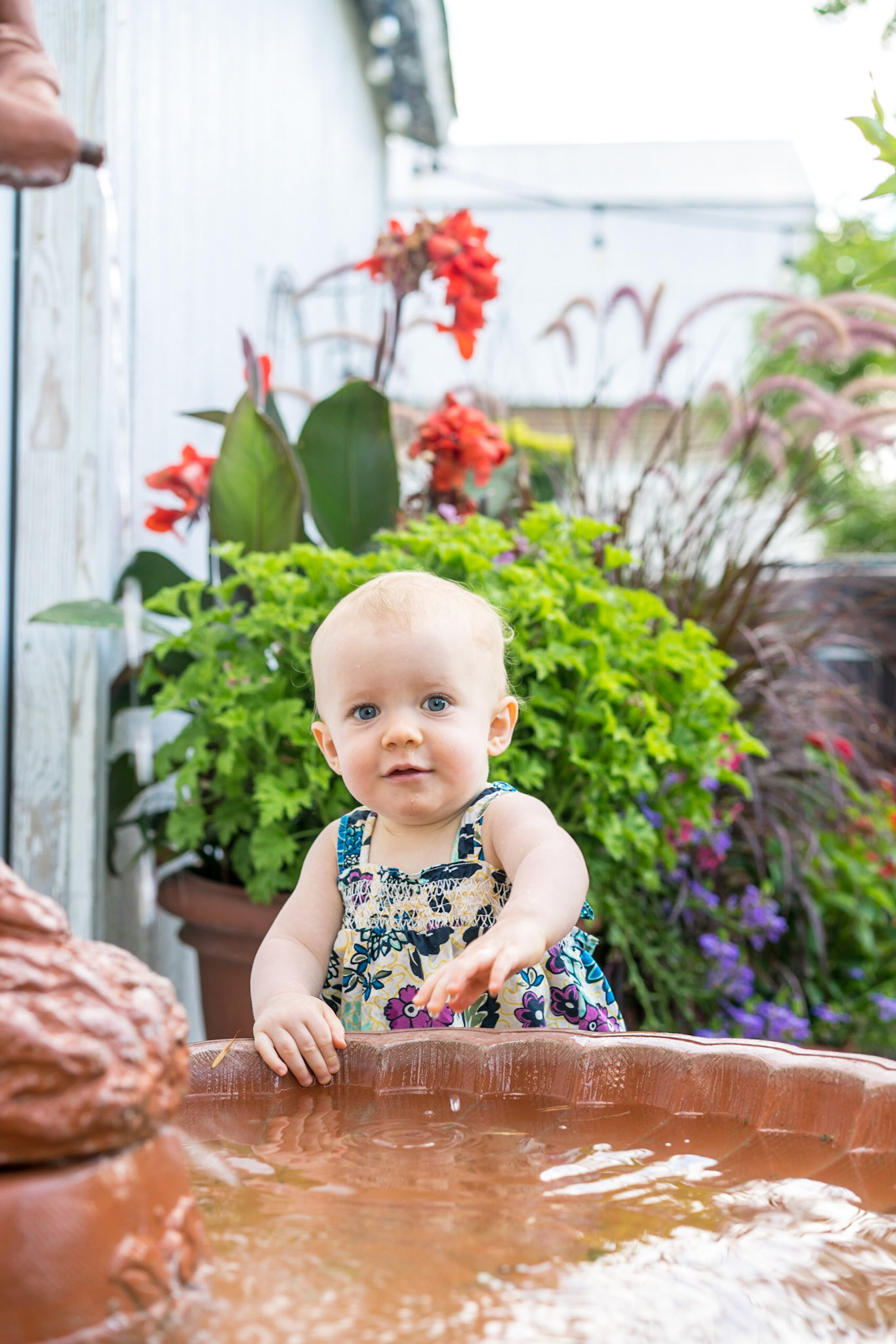 Copyright Reserve Photo
