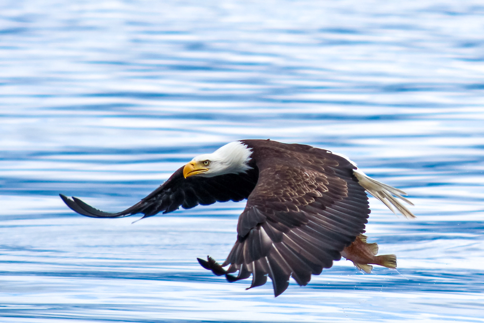 Copyright Reserve Photo