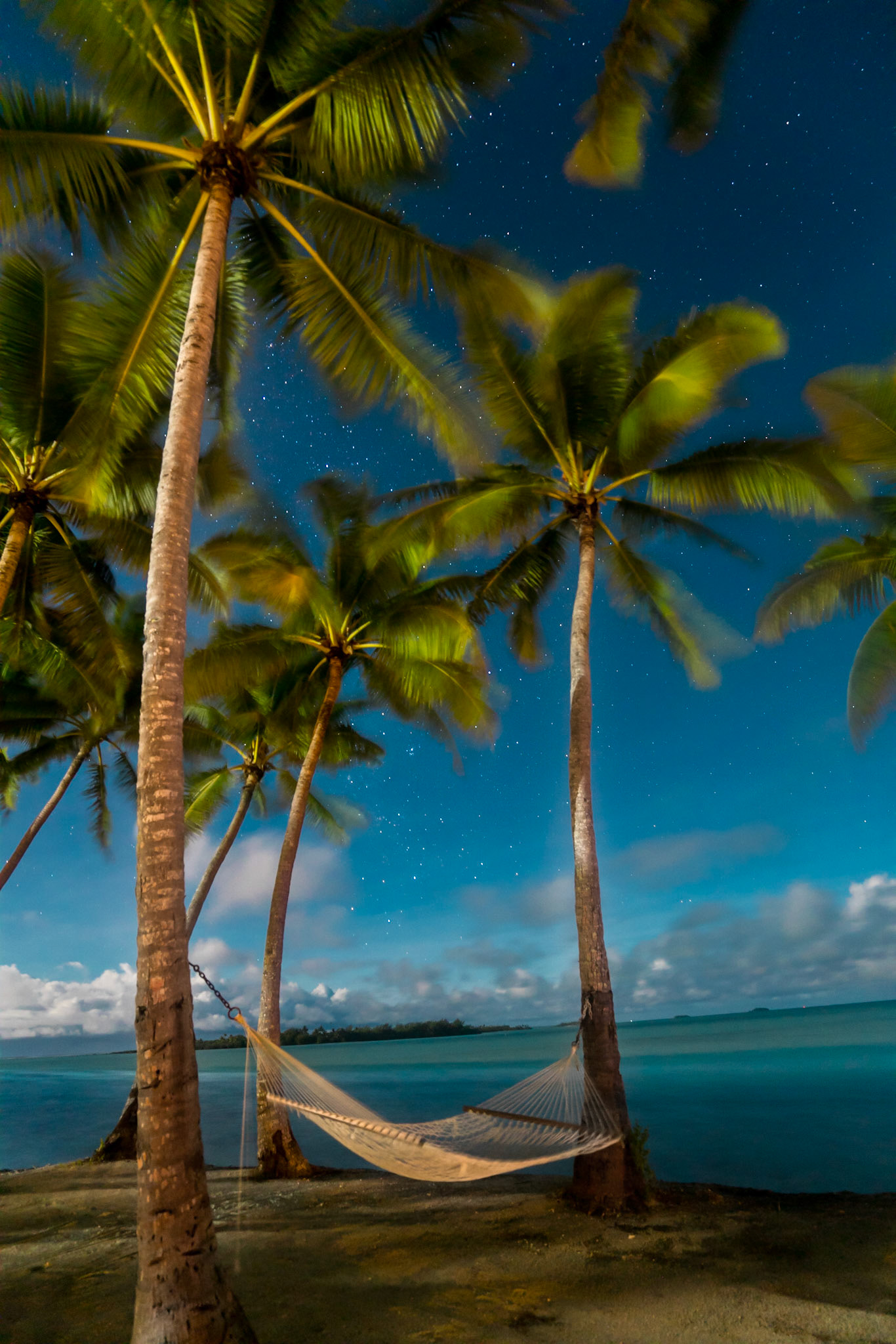 Copyright Reserve Photo