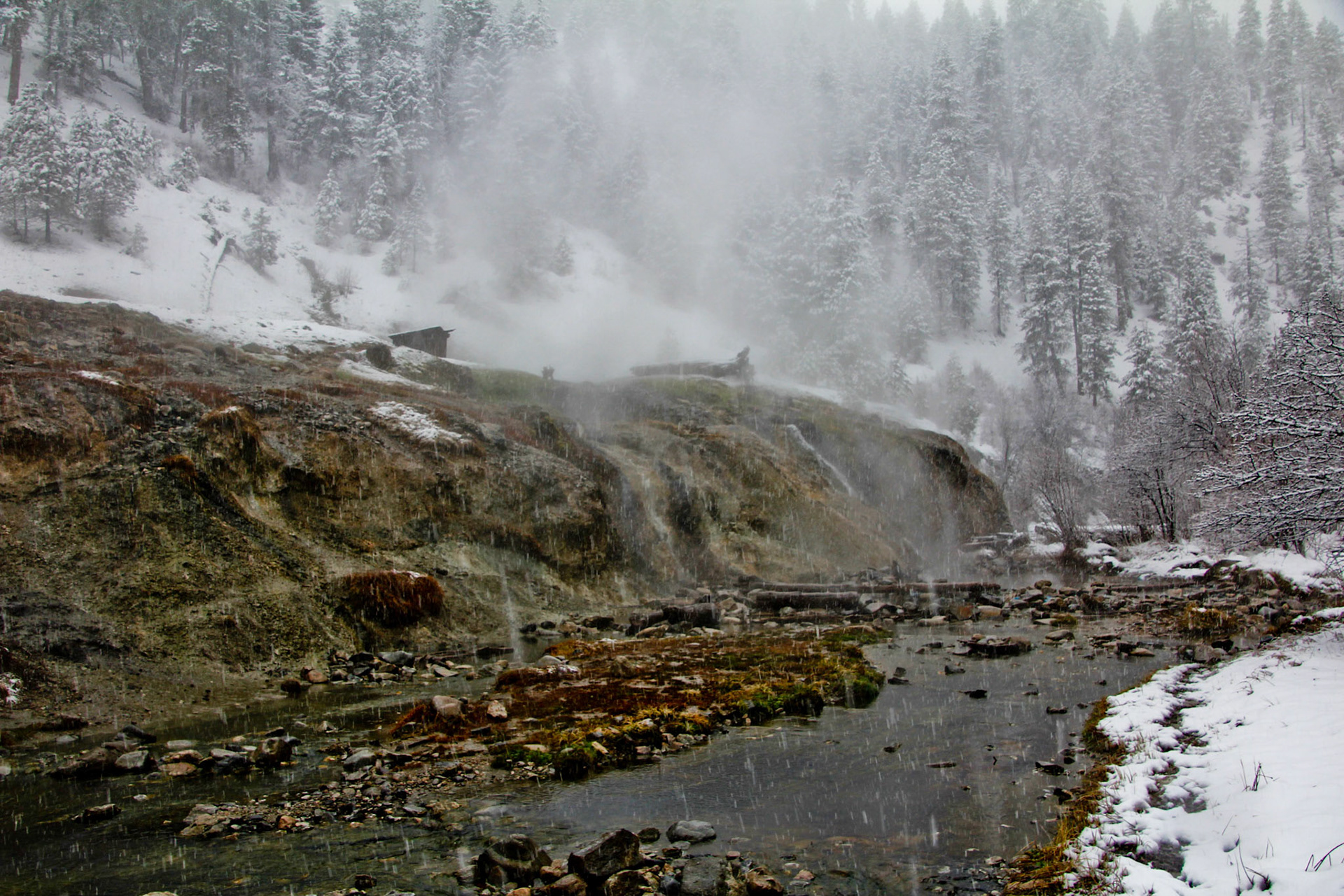 Copyright Reserve Photo