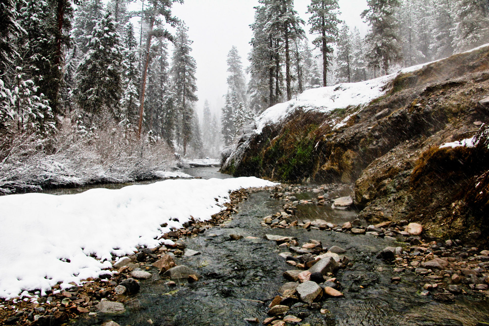 Copyright Reserve Photo