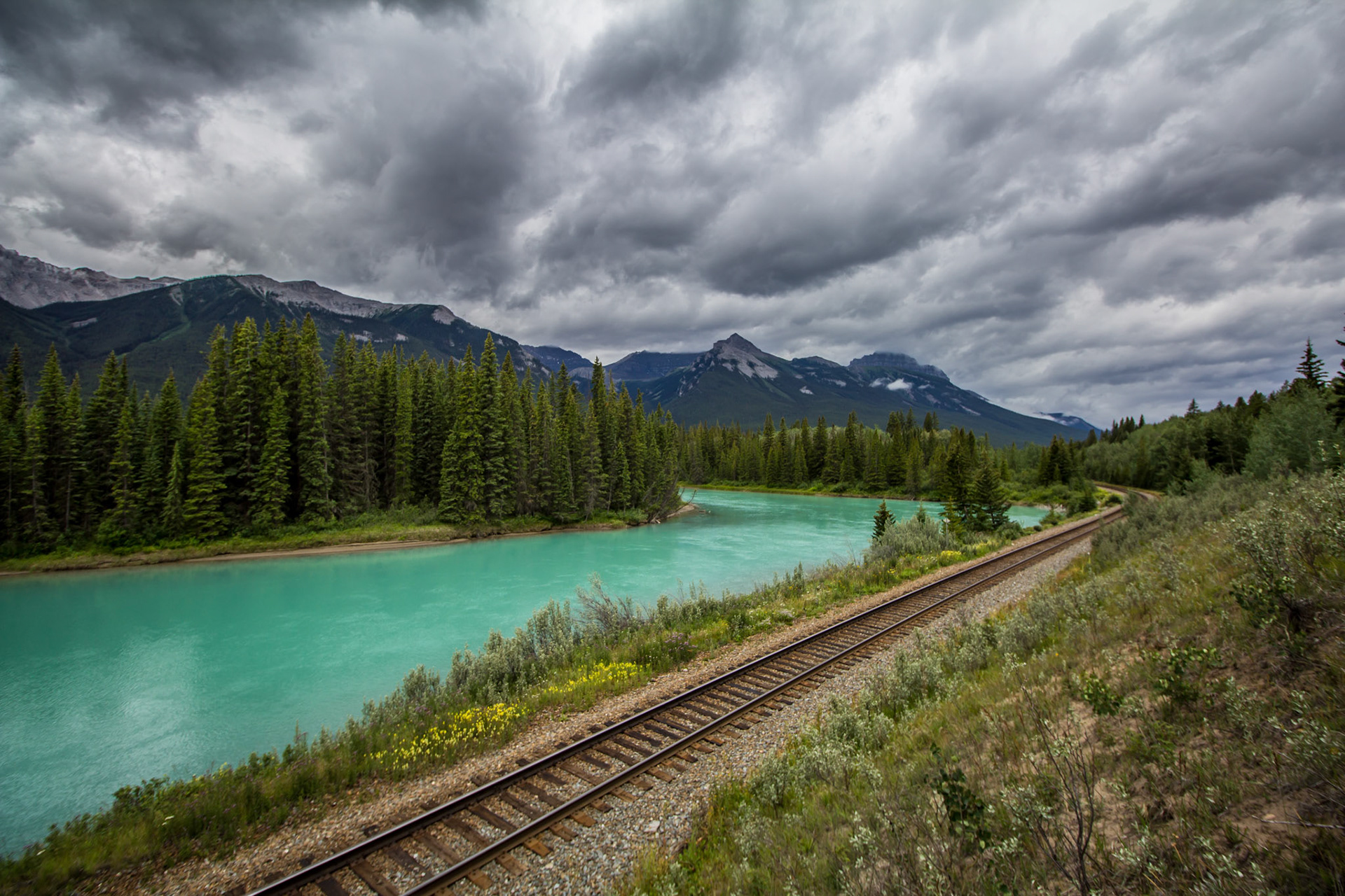 Copyright Reserve Photo