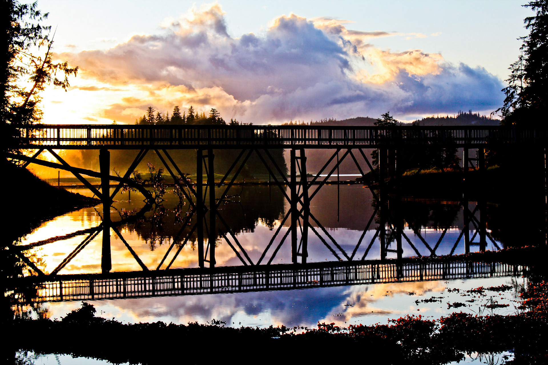 Copyright Reserve Photo