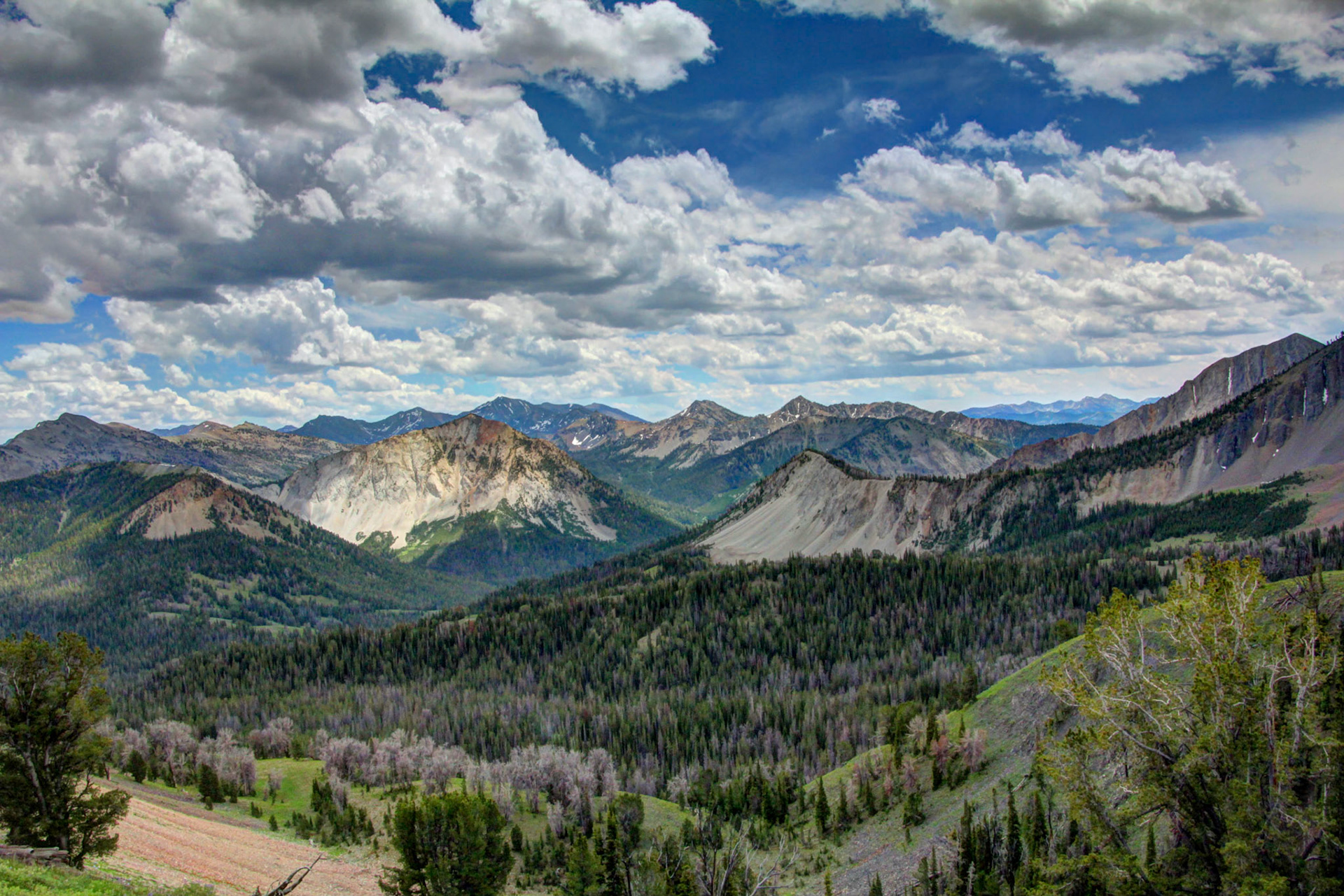 Copyright Reserve Photo