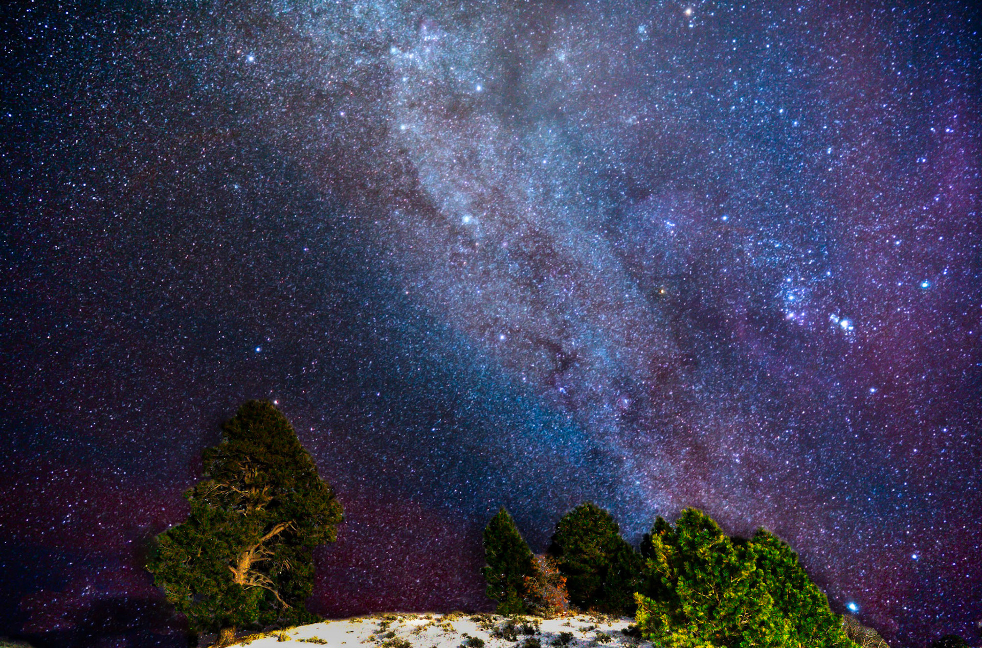 Copyright Reserve Photo