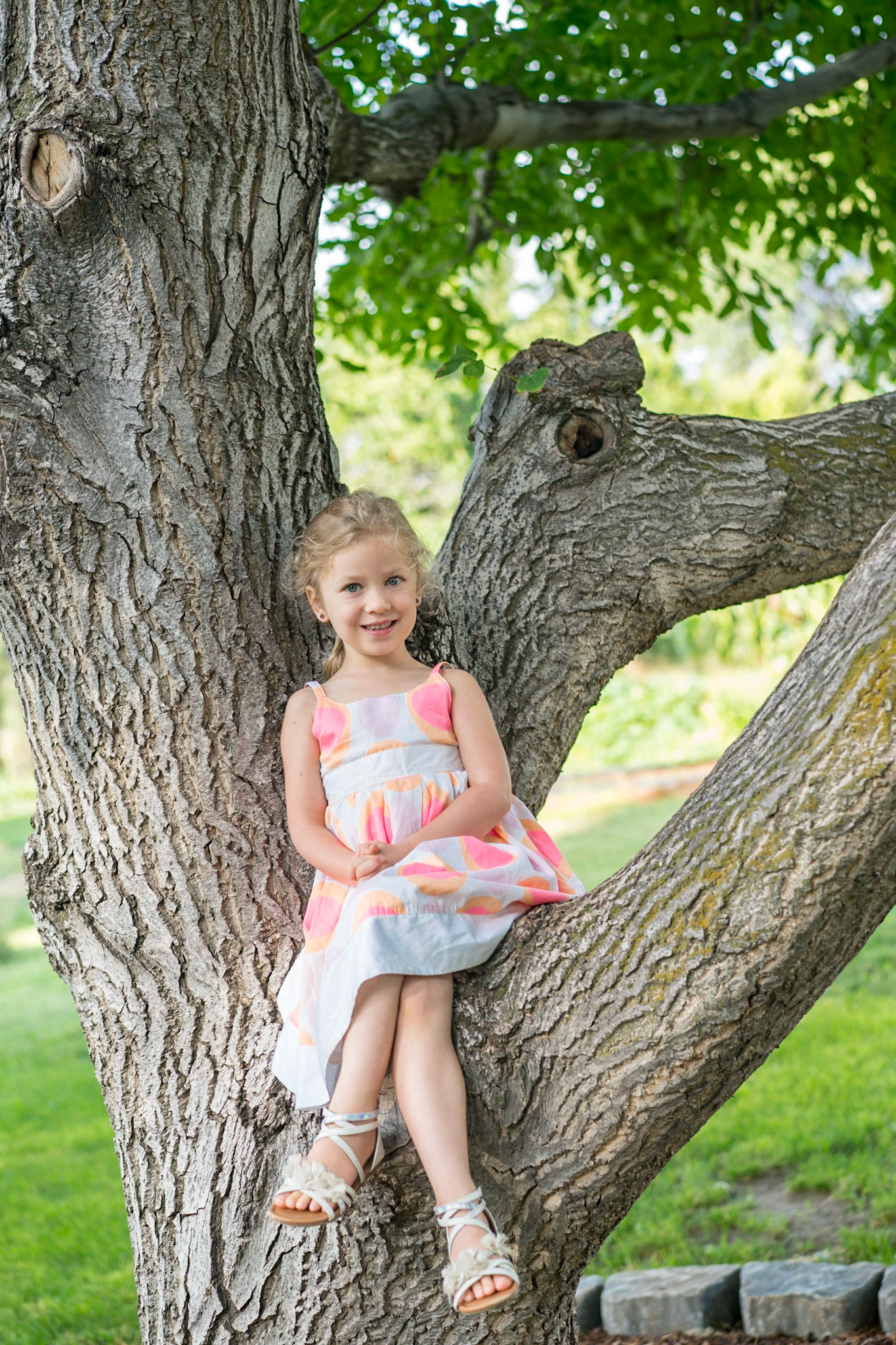 Copyright Reserve Photo