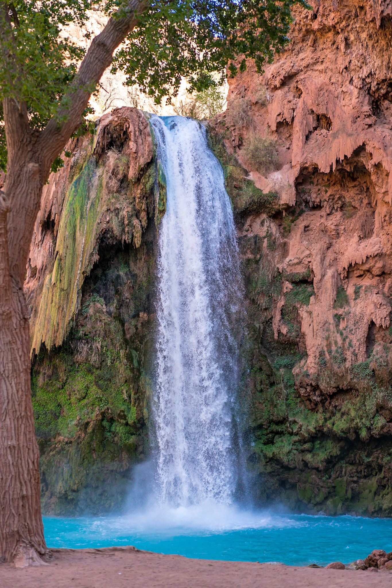 Copyright Reserve Photo
