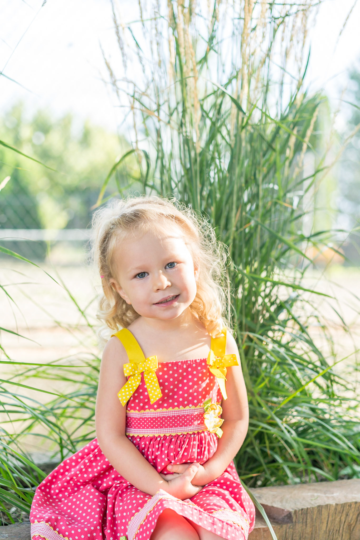Copyright Reserve Photo