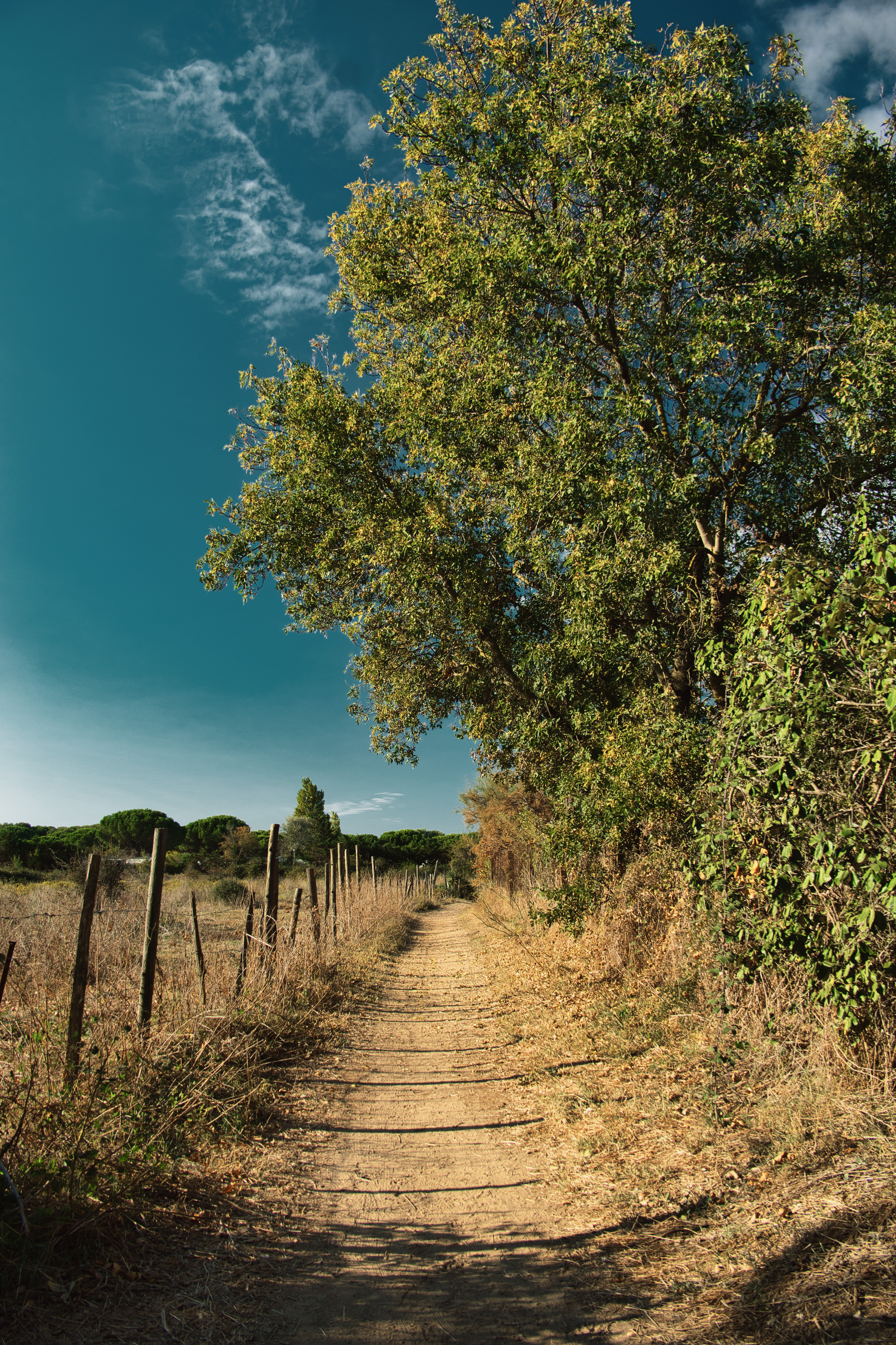 FRANCE. Soft light, warm tones and an easy pace.