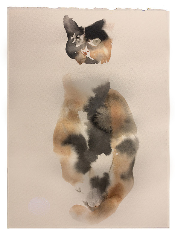 🔴  Private  collection