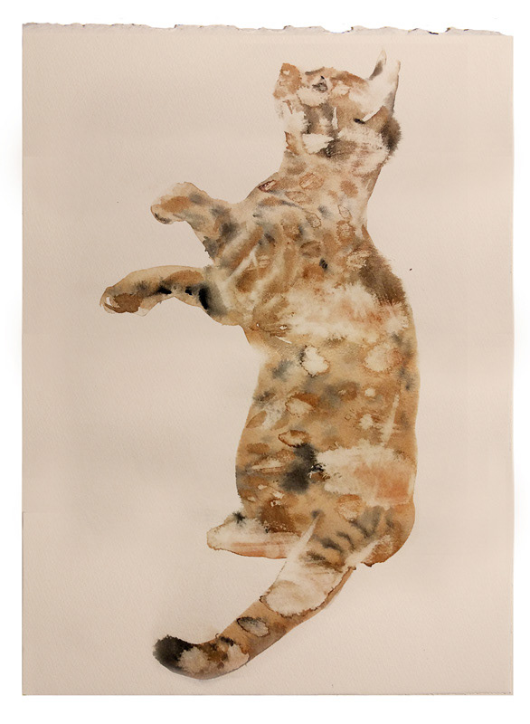 🔴  Private  collection