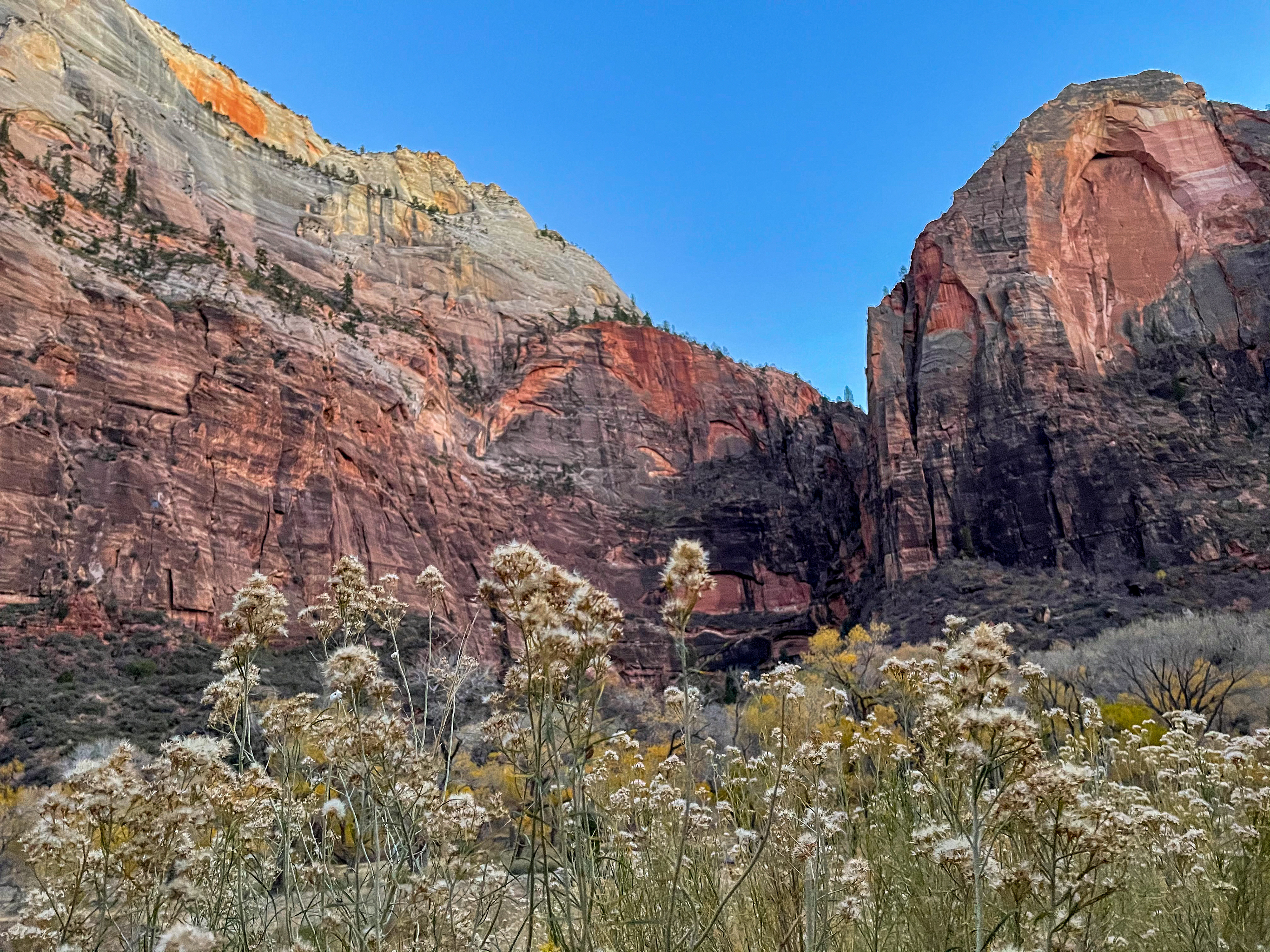 USA Utah