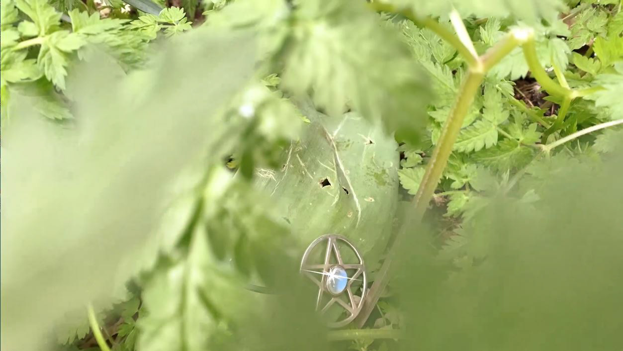 Finders Keepers Verve Bee Media 2022