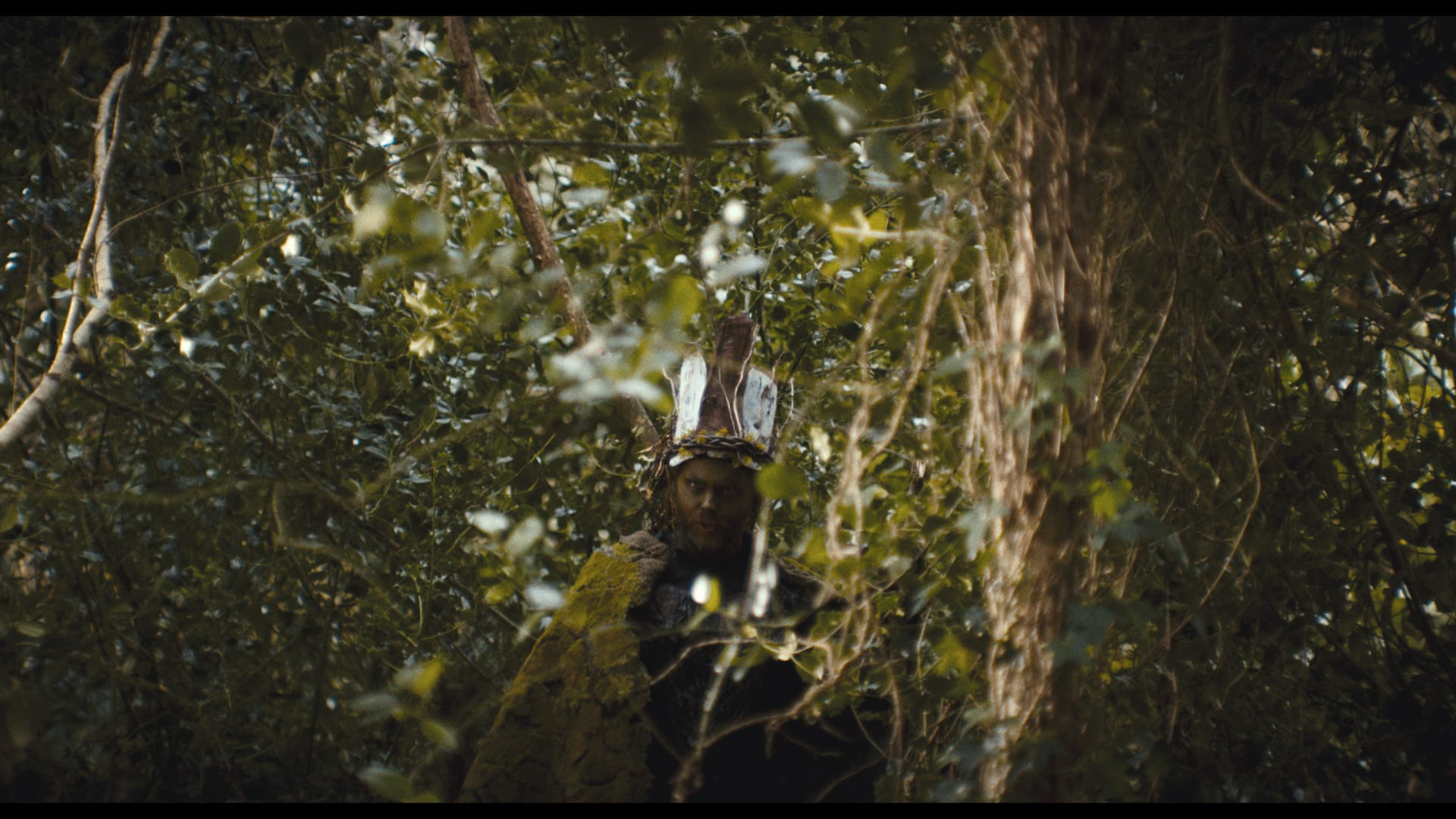 The Green Man - Verve Bee Media Ltd 2024