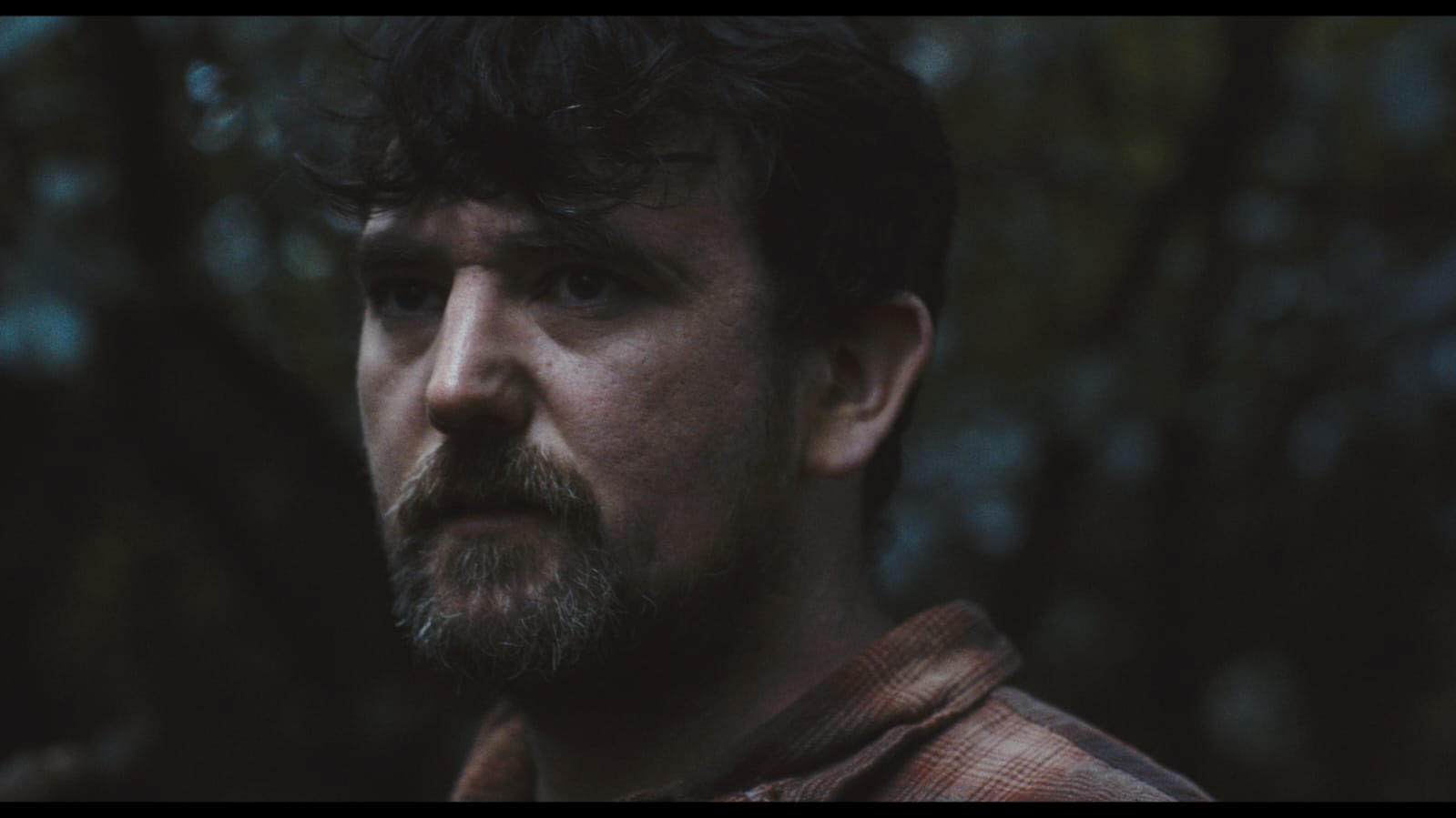 The Green Man - Verve Bee Media Ltd 2024