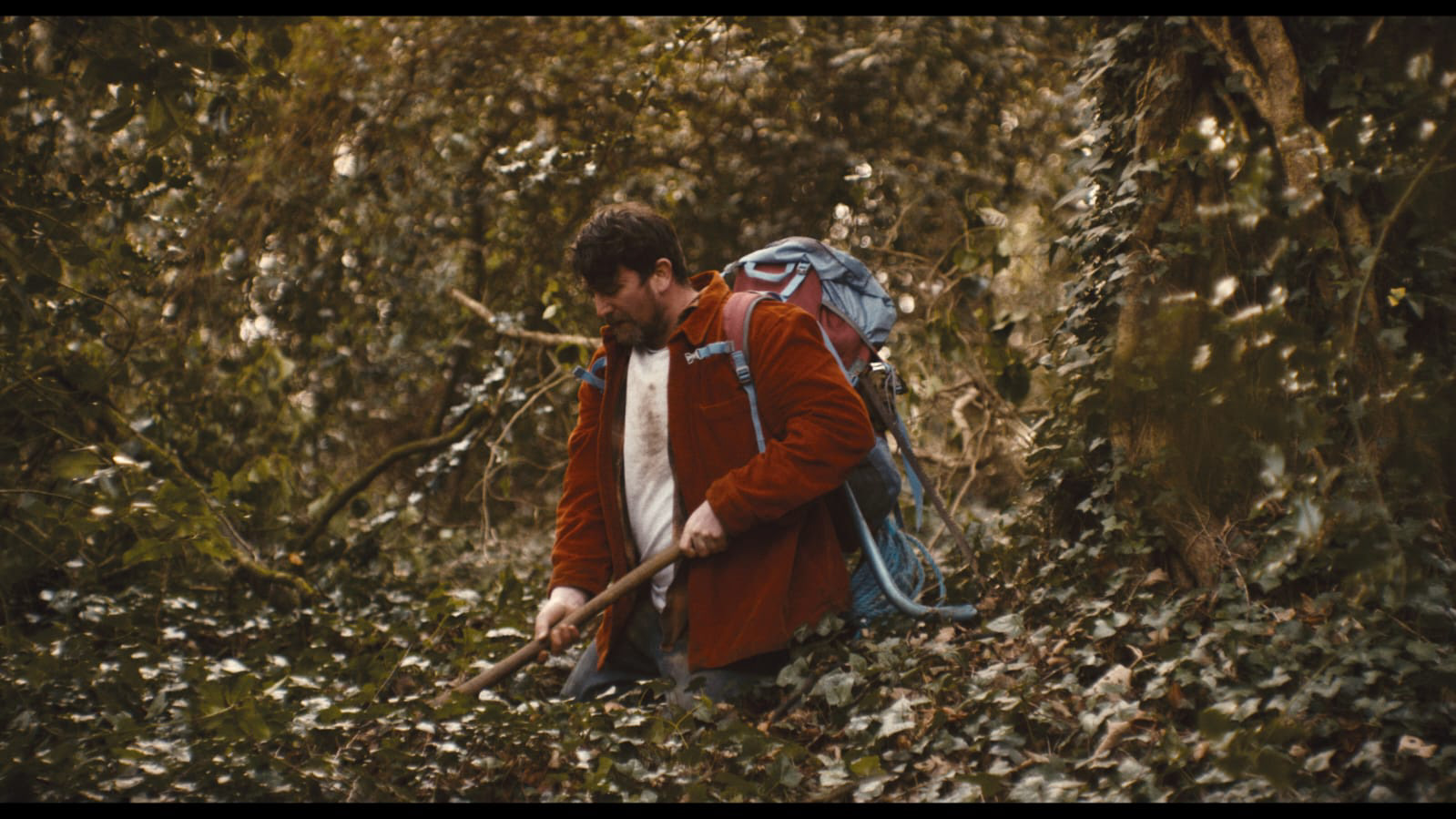 The Green Man - Verve Bee Media Ltd 2024