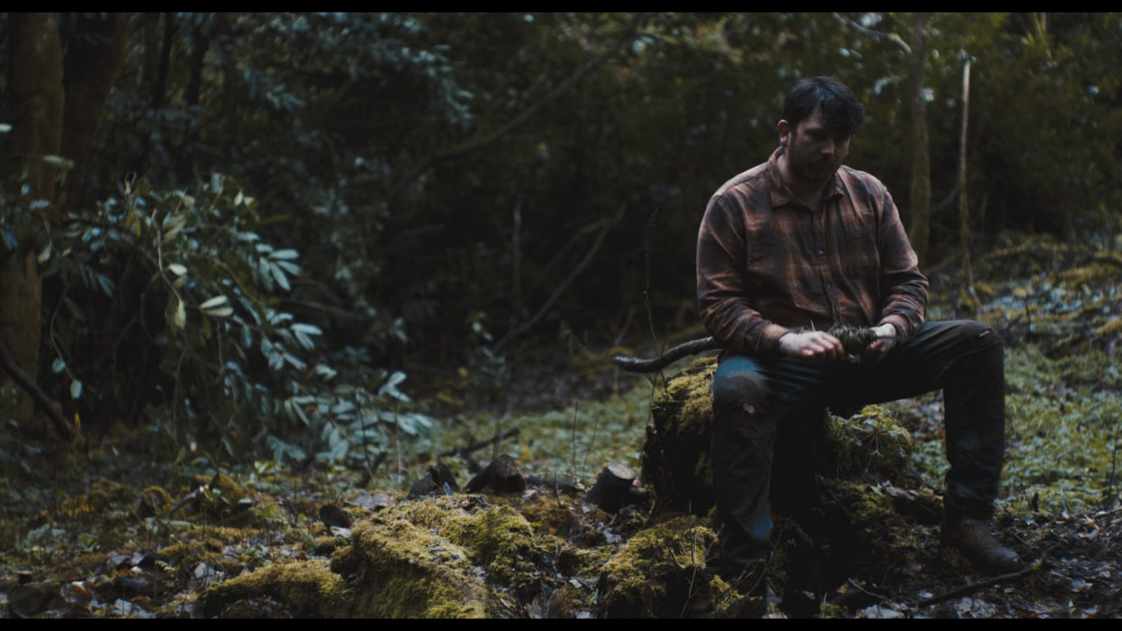 The Green Man - Verve Bee Media Ltd 2024